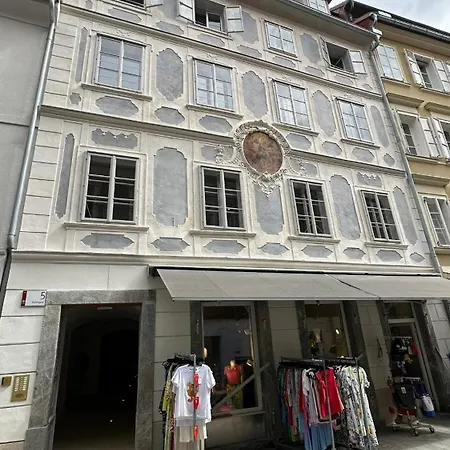Apartment Altstadtjuwel Faerbergasse